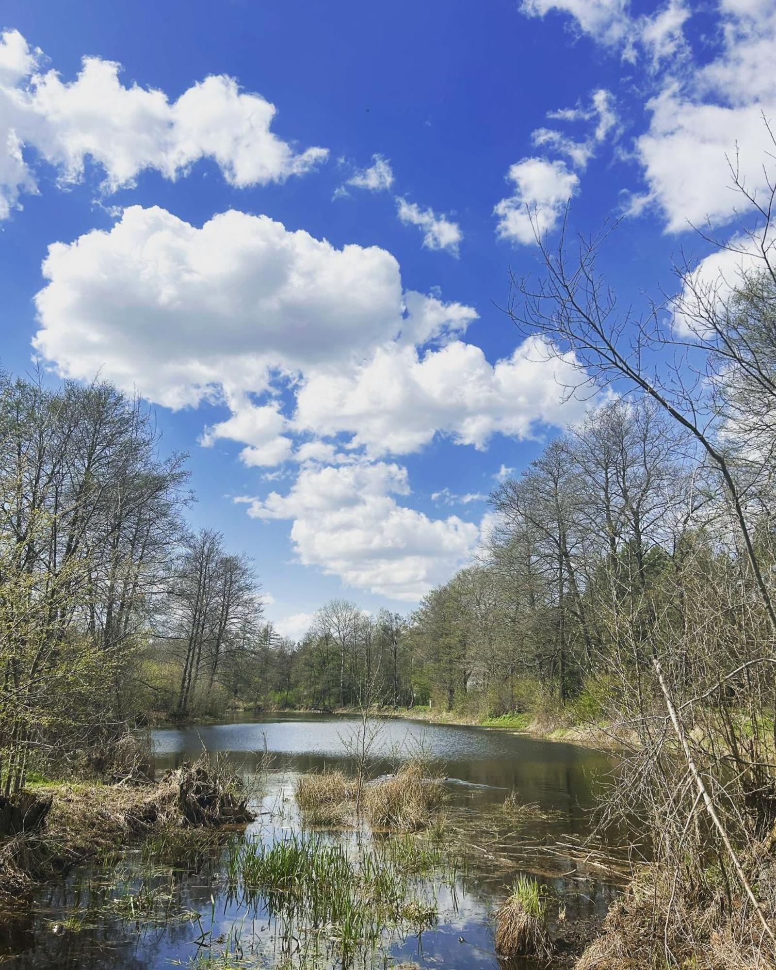 Masuria Warsaw Villa Skrzeszew Buitenkant foto
