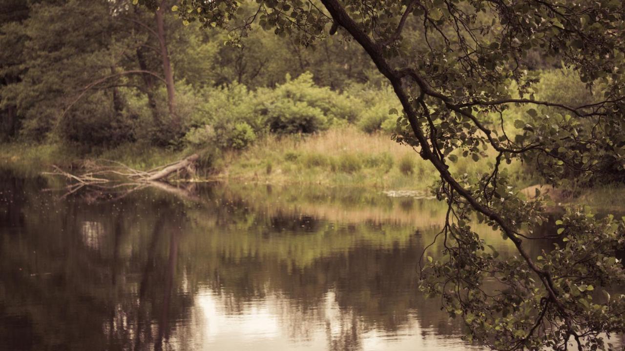 Masuria Warsaw Villa Skrzeszew Buitenkant foto