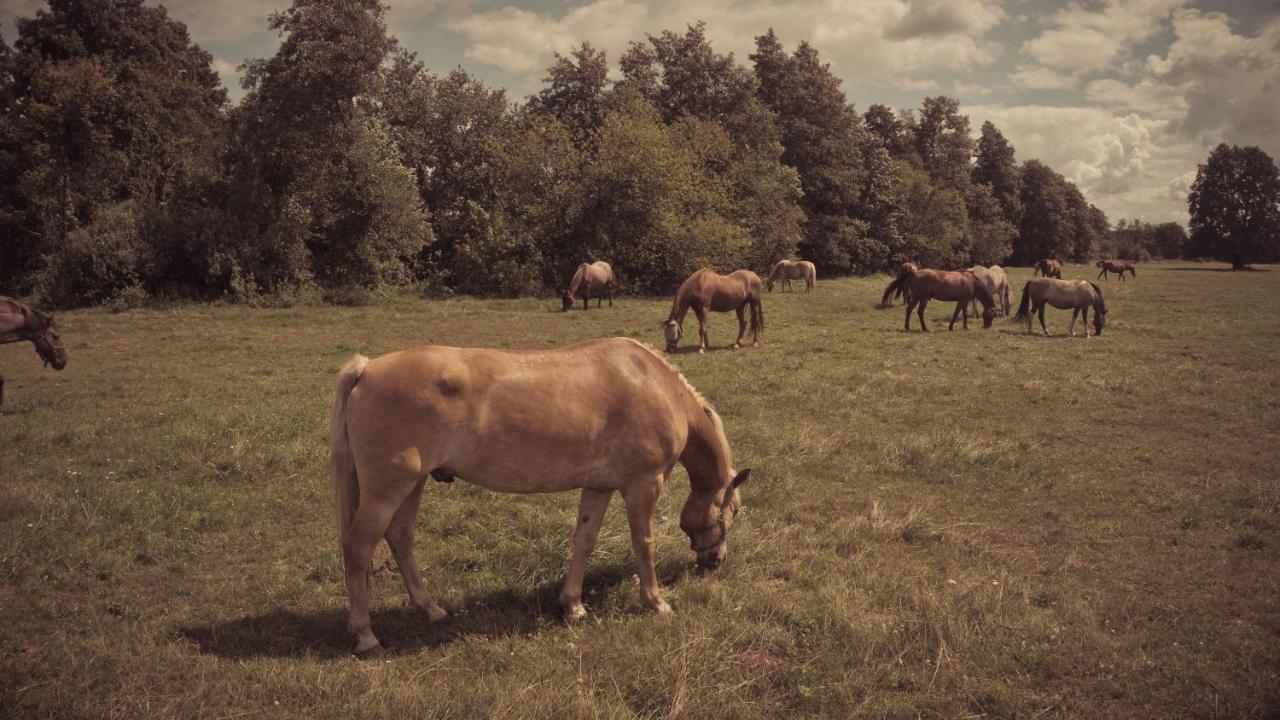 Masuria Warsaw Villa Skrzeszew Buitenkant foto